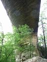 View of the bridge's bottom